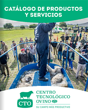 Nuestros servicios