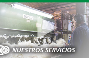 Nuestros servicios