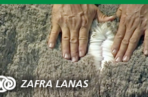 Zafra Lanas